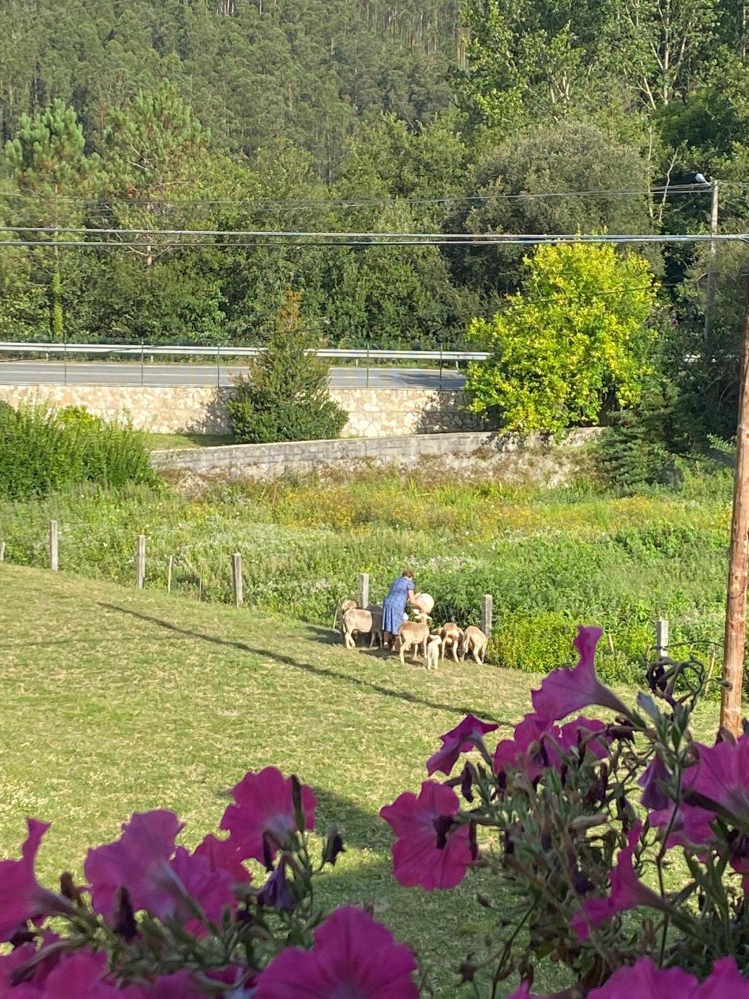 A Casa Das Augas Mondoñedo Zewnętrze zdjęcie